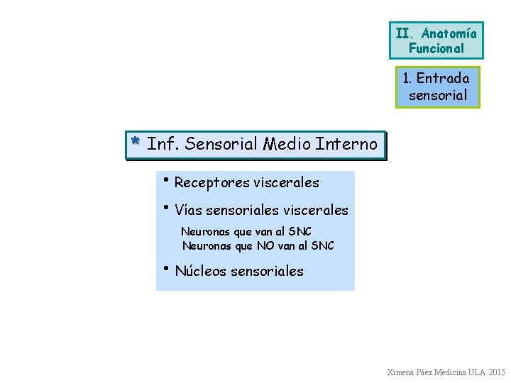 II. Anatomía Funcional 1. Entrada sensorial * Inf. Sensorial Medio Interno • Receptores viscerales II. Anatomía Funcional 1. Entrada sensorial * Inf. Sensorial Medio Interno • Receptores viscerales