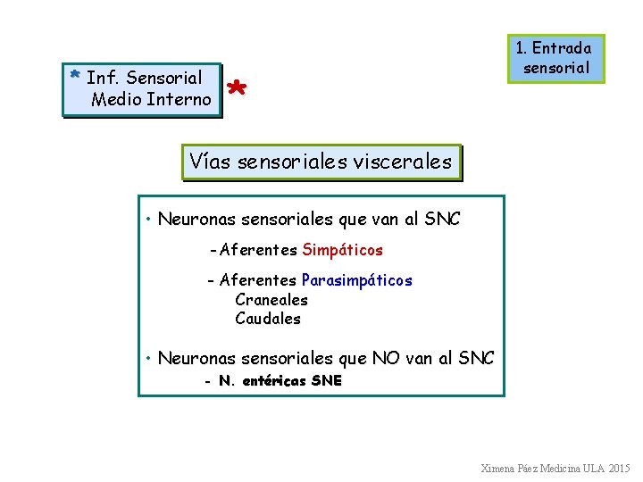 * Inf. Sensorial Medio Interno 1. Entrada sensorial * Vías sensoriales viscerales • Neuronas