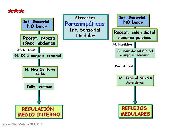 *** Inf. Sensorial NO Dolor Recept. cabeza tórax, abdomen Af. N. IX-X. Gl. IX-X