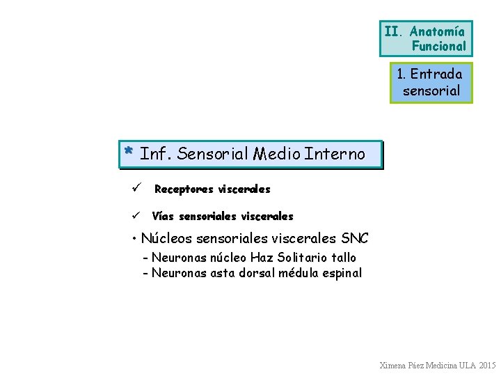 II. Anatomía Funcional 1. Entrada sensorial * Inf. Sensorial Medio Interno ü Receptores viscerales