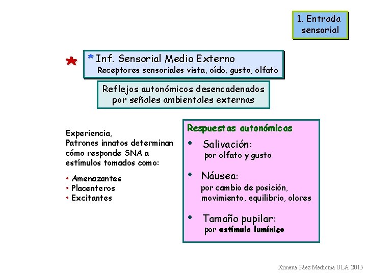 1. Entrada sensorial * * Inf. Sensorial Medio Externo Receptores sensoriales vista, oído, gusto,