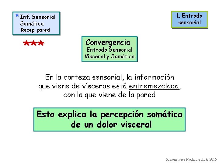 1. Entrada sensorial * Inf. Sensorial Somática Recep. pared *** Convergencia Entrada Sensorial Visceral 1. Entrada sensorial * Inf. Sensorial Somática Recep. pared *** Convergencia Entrada Sensorial Visceral