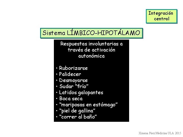 Integración central Sistema LÍMBICO-HIPOTÁLAMO Respuestas involuntarias a través de activación autonómica • Ruborizarse •