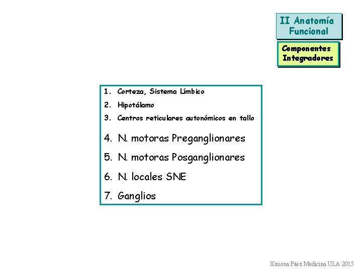 II Anatomía Funcional Componentes Integradores 1. Corteza, Sistema Límbico 2. Hipotálamo 3. Centros reticulares