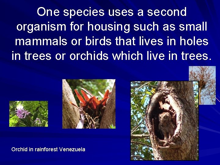 One species uses a second organism for housing such as small mammals or birds