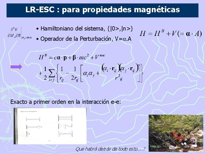 LR-ESC : para propiedades magnéticas • Hamiltoniano del sistema, {|0>, |n>} • Operador de