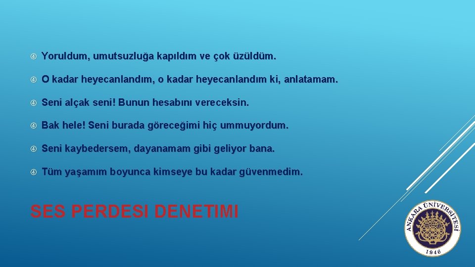  Yoruldum, umutsuzluğa kapıldım ve çok üzüldüm. O kadar heyecanlandım, o kadar heyecanlandım ki,