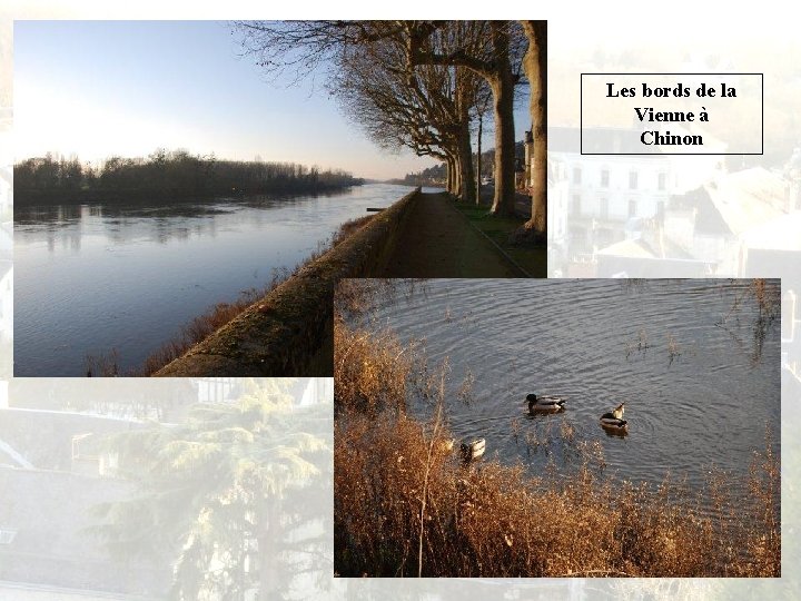 Les bords de la Vienne à Chinon 