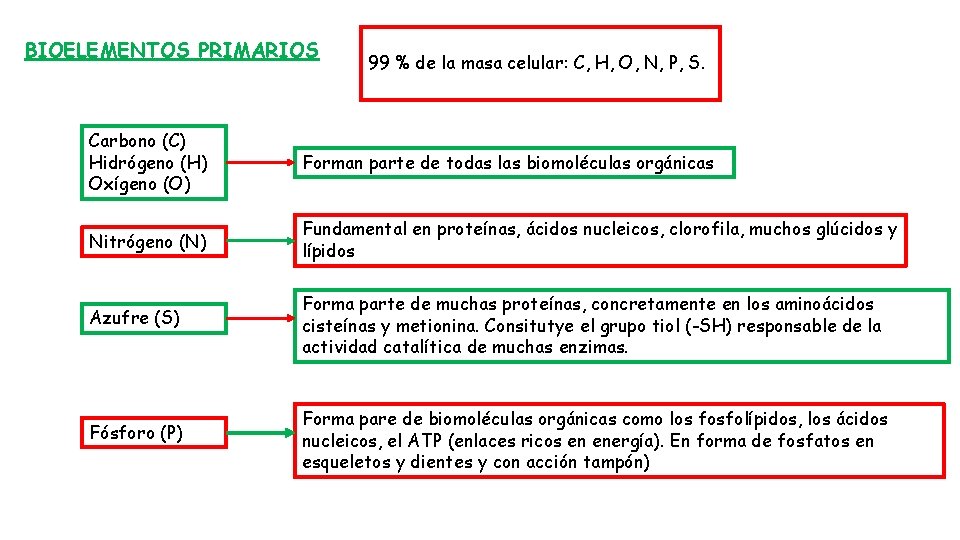 BIOELEMENTOS PRIMARIOS 99 % de la masa celular: C, H, O, N, P, S.