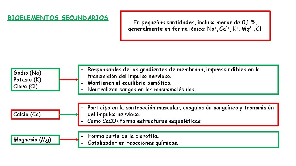 BIOELEMENTOS SECUNDARIOS En pequeñas cantidades, incluso menor de 0, 1 %, generalmente en forma