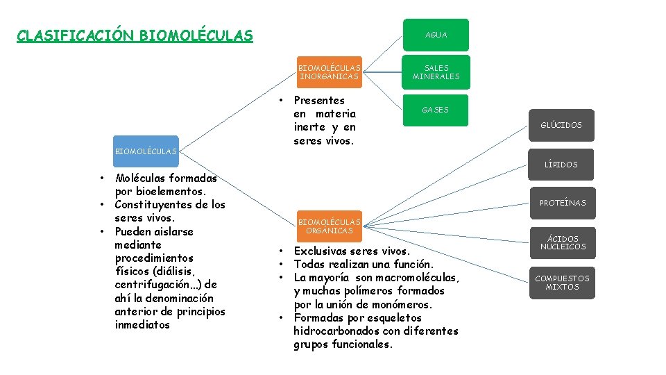 CLASIFICACIÓN BIOMOLÉCULAS AGUA BIOMOLÉCULAS INORGÁNICAS • BIOMOLÉCULAS Presentes en materia inerte y en seres