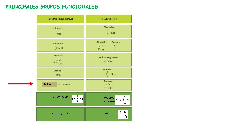 PRINCIPALES GRUPOS FUNCIONALES Carboxilo Grupo fosfato Fosfatos orgánicos Grupo tiol HS¯ Tioles 