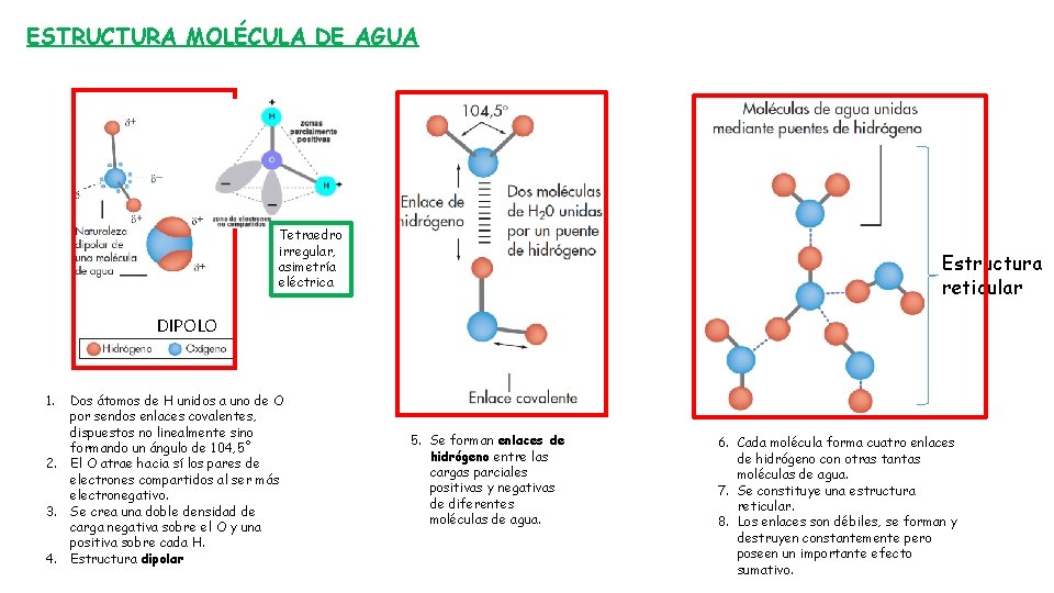 ESTRUCTURA MOLÉCULA DE AGUA Tetraedro irregular, asimetría eléctrica Estructura reticular DIPOLO 1. Dos átomos