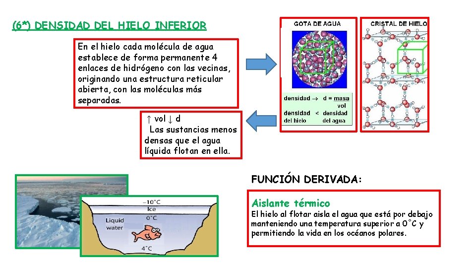 (6*) DENSIDAD DEL HIELO INFERIOR En el hielo cada molécula de agua establece de