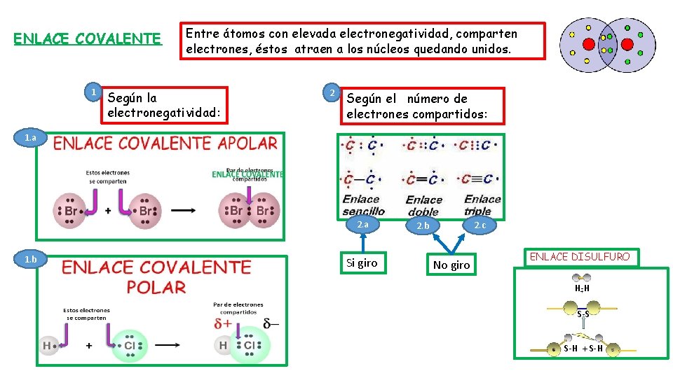 ENLACE COVALENTE 1 Entre átomos con elevada electronegatividad, comparten electrones, éstos atraen a los