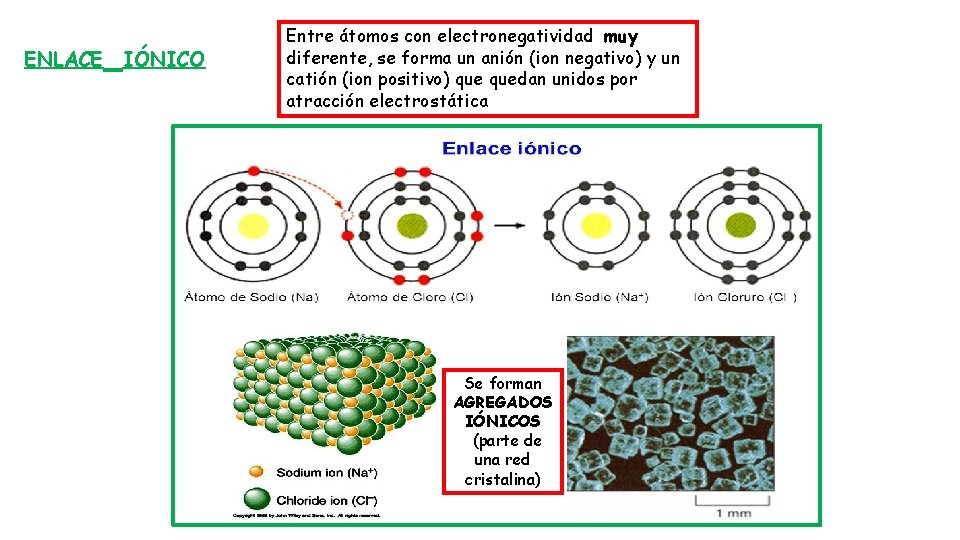 ENLACE IÓNICO Entre átomos con electronegatividad muy diferente, se forma un anión (ion negativo)