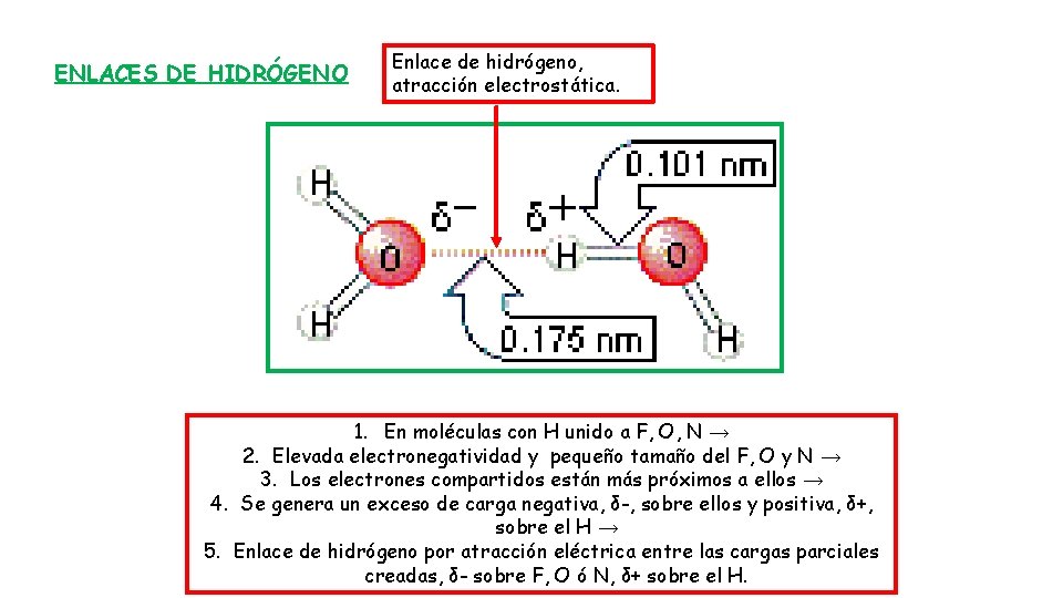 ENLACES DE HIDRÓGENO Enlace de hidrógeno, atracción electrostática. 1. En moléculas con H unido