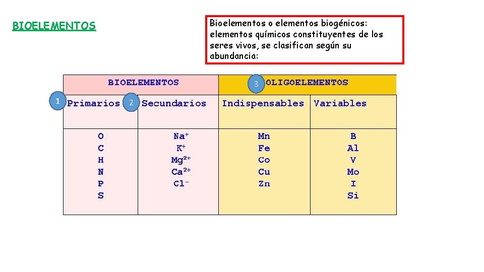 Bioelementos o elementos biogénicos: elementos químicos constituyentes de los seres vivos, se clasifican según