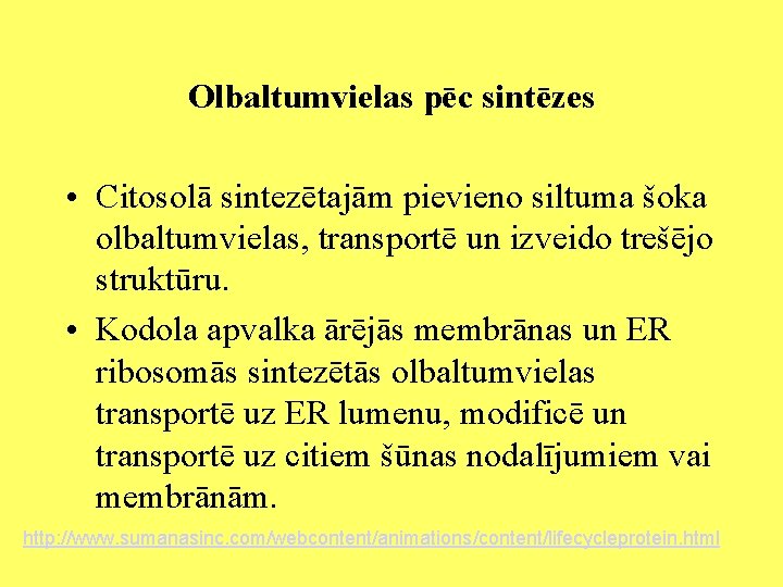 Olbaltumvielas pēc sintēzes • Citosolā sintezētajām pievieno siltuma šoka olbaltumvielas, transportē un izveido trešējo