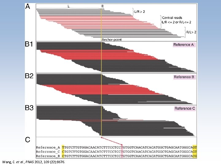 Wang, C. et al. , PNAS 2012, 109 (22): 8676. 