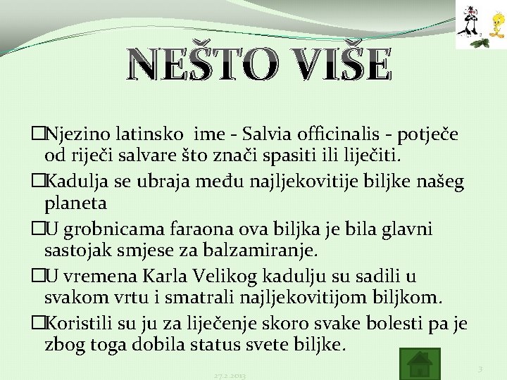 NEŠTO VIŠE �Njezino latinsko ime - Salvia officinalis - potječe od riječi salvare što