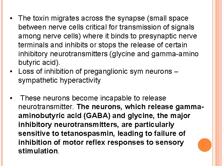  • The toxin migrates across the synapse (small space between nerve cells critical