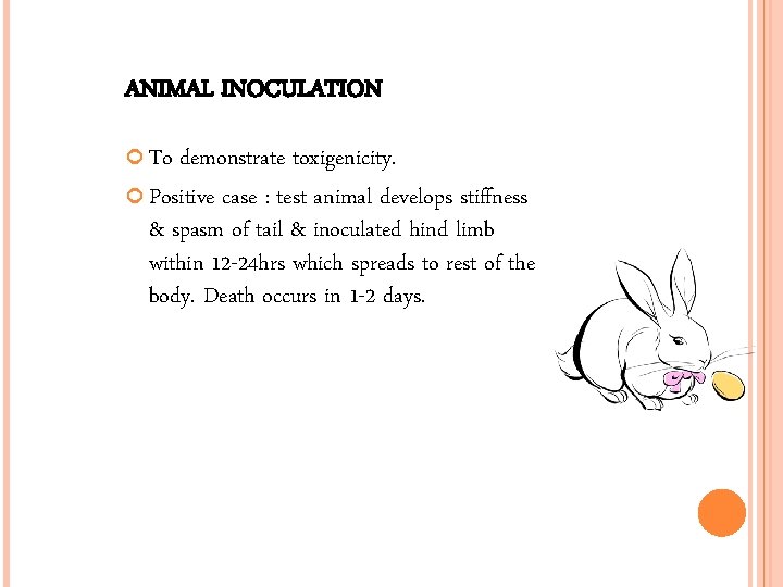 ANIMAL INOCULATION To demonstrate toxigenicity. Positive case : test animal develops stiffness & spasm