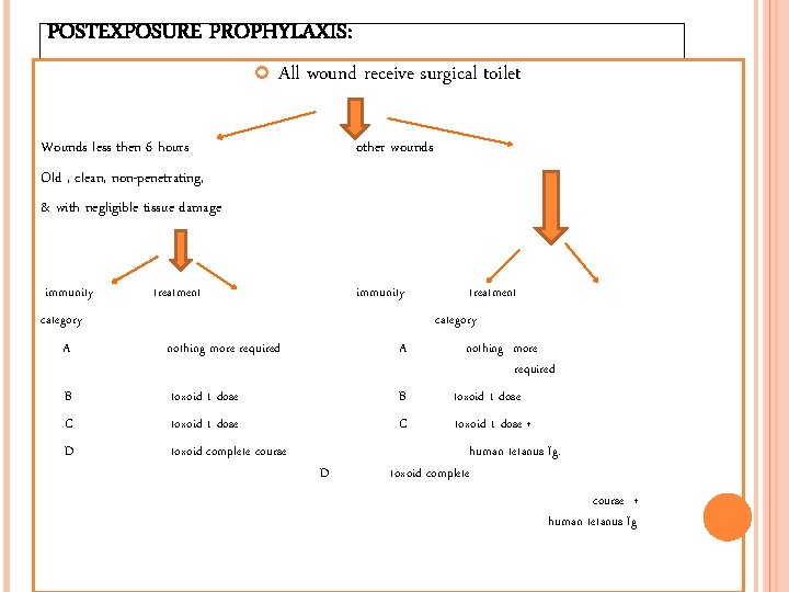 POSTEXPOSURE PROPHYLAXIS: All wound receive surgical toilet Wounds less then 6 hours other wounds
