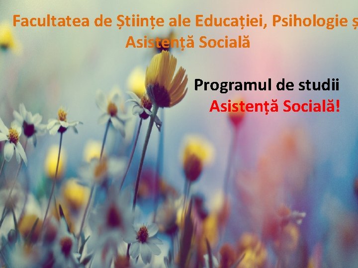 Facultatea de Științe ale Educației, Psihologie ș Asistență Socială Programul de studii Asistență Socială!