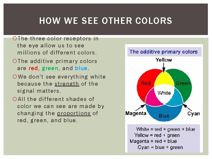 HOW WE SEE OTHER COLORS The three color receptors in the eye allow us