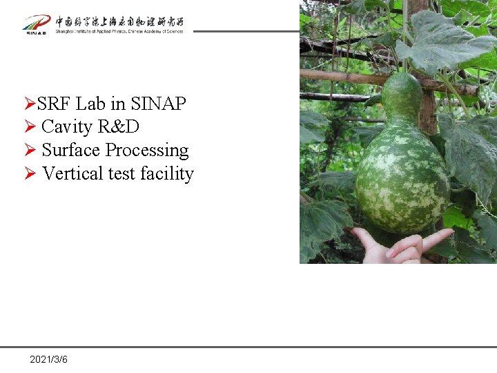 ØSRF Lab in SINAP Ø Cavity R&D Ø Surface Processing Ø Vertical test facility ØSRF Lab in SINAP Ø Cavity R&D Ø Surface Processing Ø Vertical test facility