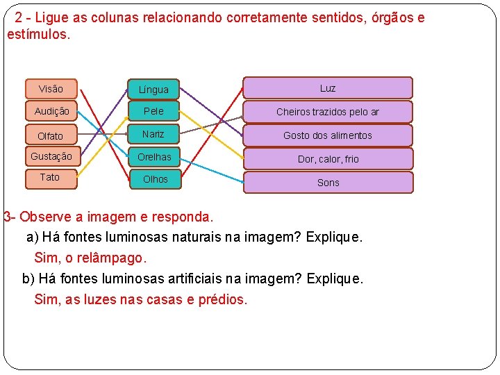  2 - Ligue as colunas relacionando corretamente sentidos, órgãos e estímulos. Visão Língua