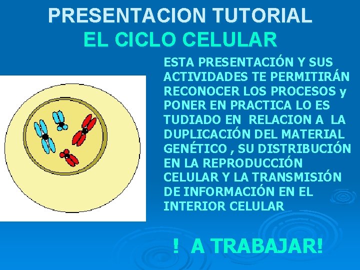 PRESENTACION TUTORIAL EL CICLO CELULAR ESTA PRESENTACIÓN Y SUS ACTIVIDADES TE PERMITIRÁN RECONOCER LOS