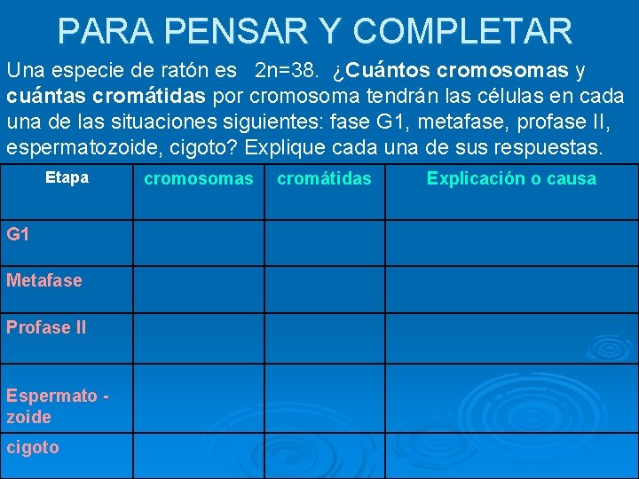 PARA PENSAR Y COMPLETAR Una especie de ratón es 2 n=38. ¿Cuántos cromosomas y