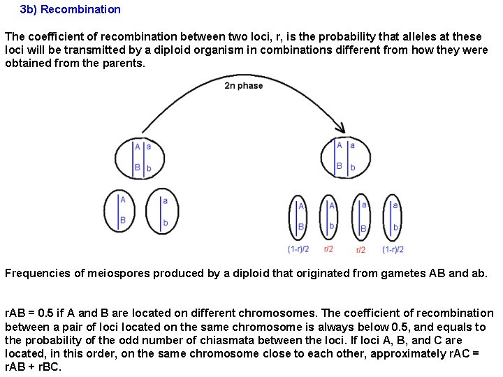 3 b) Recombination The coefficient of recombination between two loci, r, is the probability