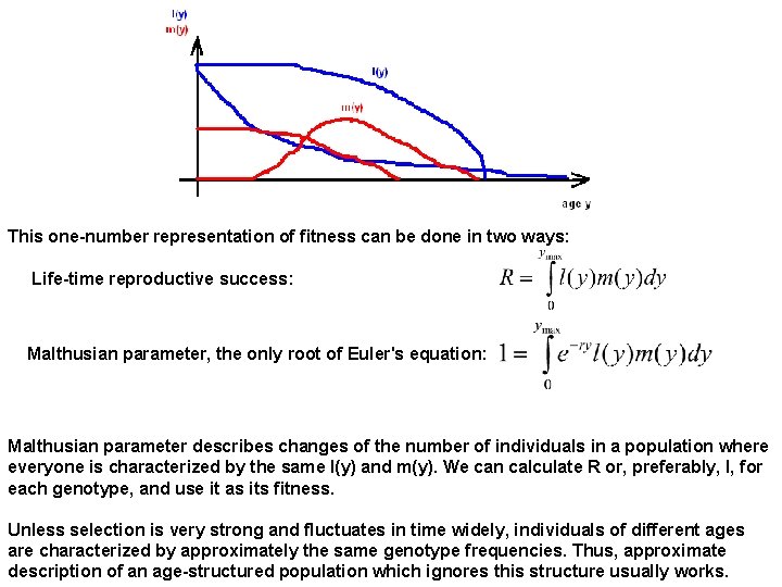 This one-number representation of fitness can be done in two ways: Life-time reproductive success: