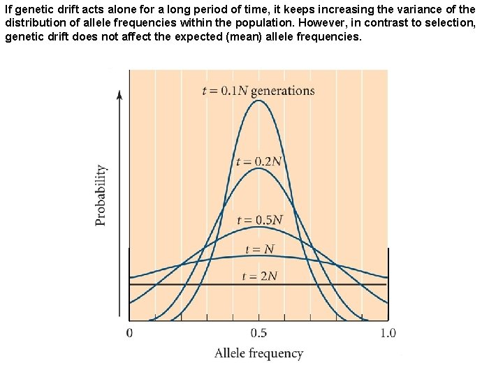 If genetic drift acts alone for a long period of time, it keeps increasing