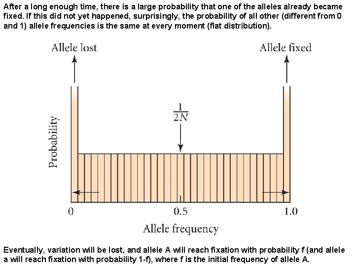 After a long enough time, there is a large probability that one of the