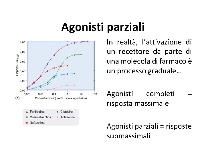 Agonisti parziali In realtà, l’attivazione di un recettore da parte di una molecola di