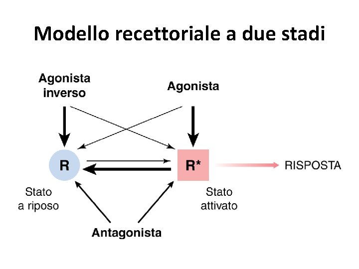 Modello recettoriale a due stadi 