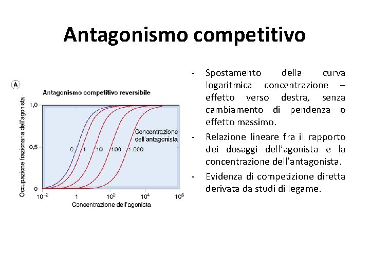 Antagonismo competitivo - - - Spostamento della curva logaritmica concentrazione – effetto verso destra,