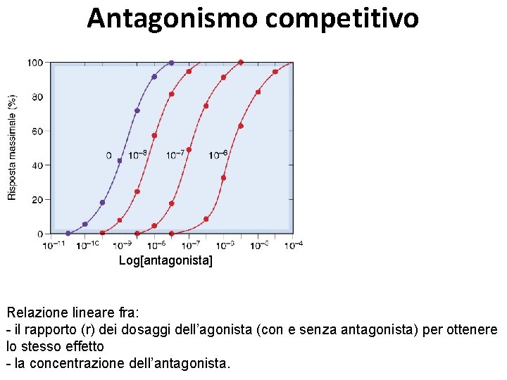 Antagonismo competitivo Grafico di Schild Log[antagonista] Relazione lineare fra: - il rapporto (r) dei