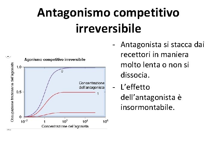 Antagonismo competitivo irreversibile - Antagonista si stacca dai recettori in maniera molto lenta o