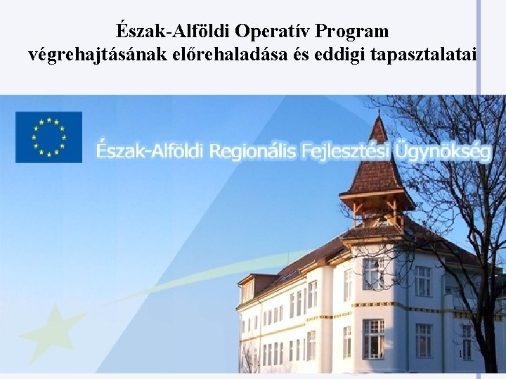 Észak-Alföldi Operatív Program végrehajtásának előrehaladása és eddigi tapasztalatai 1 Észak-Alföldi Operatív Program végrehajtásának előrehaladása és eddigi tapasztalatai 1