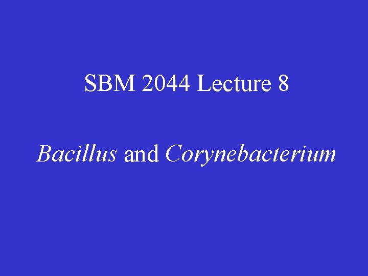 SBM 2044 Lecture 8 Bacillus and Corynebacterium 