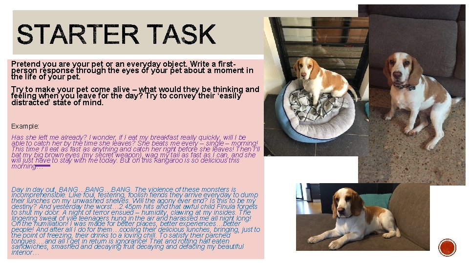 Pretend you are your pet or an everyday object. Write a firstperson response through Pretend you are your pet or an everyday object. Write a firstperson response through