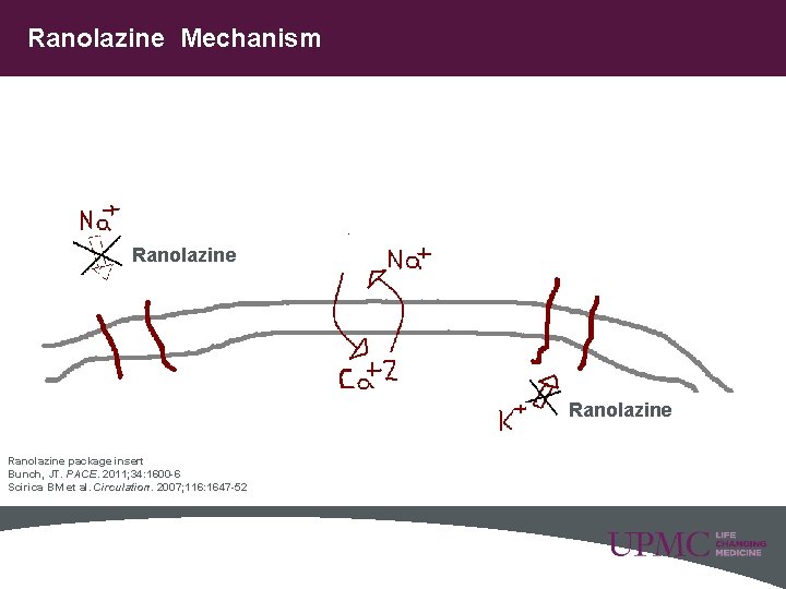Ranolazine Mechanism Ranolazine package insert Bunch, JT. PACE. 2011; 34: 1600 -6 Scirica BM