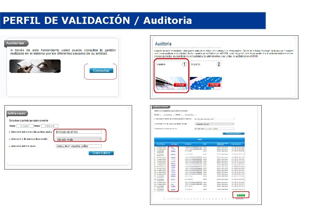 PERFIL DE VALIDACIÓN / Auditoria 