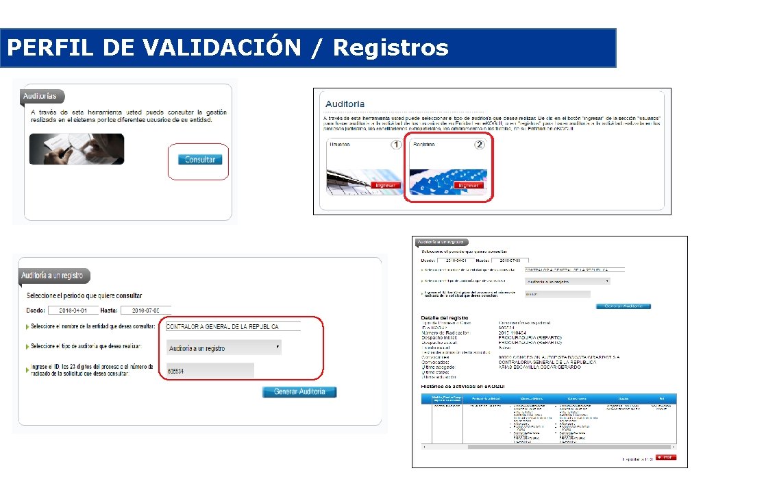 PERFIL DE VALIDACIÓN / Registros 