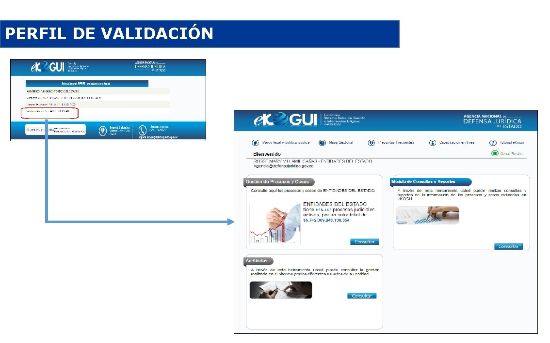 PERFIL DE VALIDACIÓN 